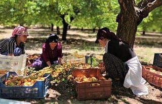 Asgari ücretin altında işçi çalıştıranlara...