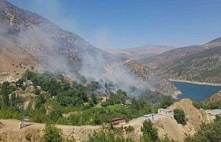 Aşırı sıcaklar yangına sebep oluyor