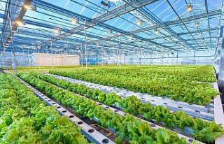 Assan Panel Azerbaycan tesisinde yeni ürün üretimine...