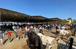 Aydın’da kurban pazarında arife günü yoğunluğu