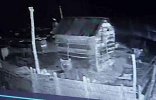 Ayı kovanlara dadandı o anlar güvenlik kamerasına...