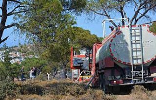 Ayvalık’ta orman yangını korkuttu