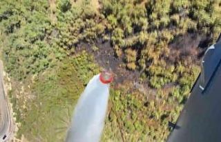 Balıkesir’de korkutan orman yangını