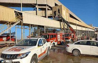 Bandırma Bagfaş’ta Yangın