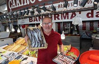 Bandırma balık halinde tezgahlar canlandı