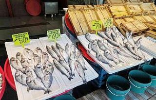 Bandırma balık pazarında durgunluk yaşanıyor