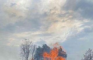 Bandırma’da yol kenarındaki otluk alanda yangın...