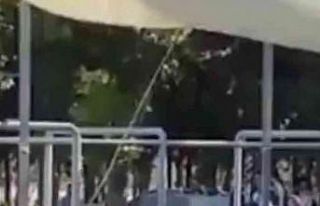 Başıboş köpeğin Ege Üniversitesi mezuniyet töreninde...