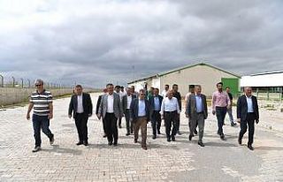 Başkan Büyükkılıç’tan Felahiye’de hayvancılığa...
