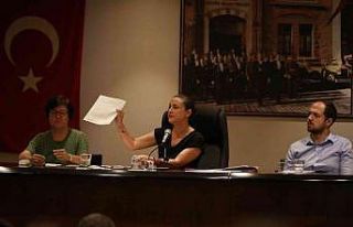 Başkan Ceritoğlu Sengel’e meclisten tam destek