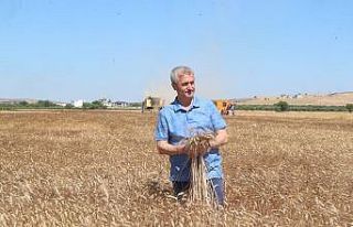 Başkan Tahmazoğlu çiftçinin hasat sevincine ortak...