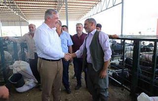 Başkan Turanlı hayvan pazarını ziyaret etti