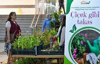 Başkentte ‘Çiçeğim Takas’ uygulaması devam...