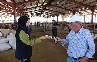 Bayram öncesi kurban pazarlarında denetim sıklaştı