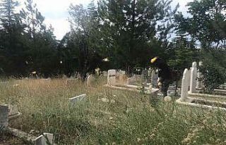 Bayram öncesi mezarlıklar bakıma alındı