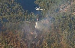 Bergama’daki orman yangını 1 saatte kontrol altında