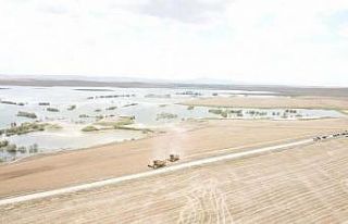 Beylikova Belediyesine tahsis edilen 4 bin dekar arazide...