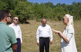 Bilecik’te belediyeye ait tarım arazilerinde ata...