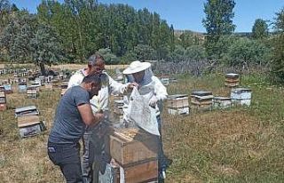 Binali Yıldırım memleketi Refahiye’de sezonun...