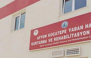 Bitkin halde bulunan leylek yavrusu tedavi altına...