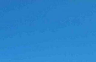 Bodrum’daki orman yangını kontrol altına alındı