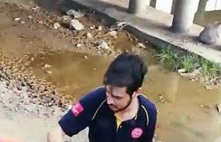 Boğulmaktan son anda kurtuldular