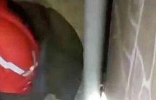 Boruya sıkışan kedi yavrusunu itfaiye ekipleri...