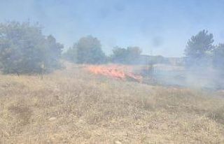 Boş arazide çıkan yangın ekili alana ulaşmadan...