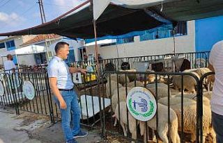 Bozüyük’te kurban satış ve kesim yerlerinde...
