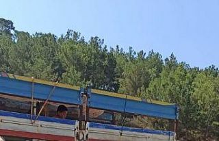 Bozyazı’da hayvan satıcıları dolandırıcılara...