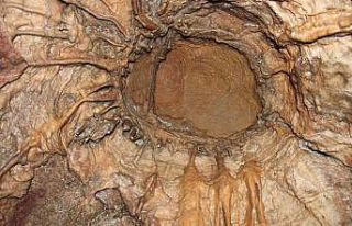 Bu mağaraya gelen donuyor