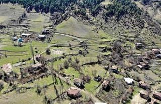 Bu mahallede 862 gündür korona vakası yok