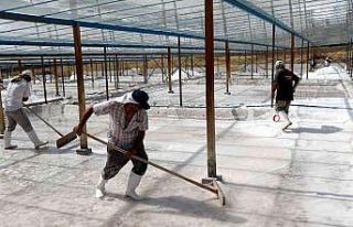 Bunaltıcı sıcaklar 3 bin yıllık "Kemah tuzu"na...