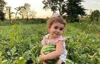 Bunaltıcı sıcaklar vatandaşı sulu meyvelere yönlendirdi