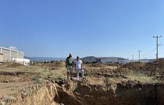 Burhaniye turizm yanında adını turşu ile duyuracak