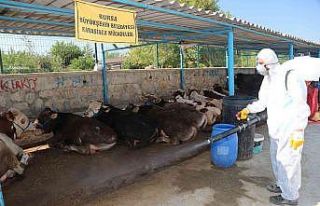 Bursa Büyükşehir bayrama hazır