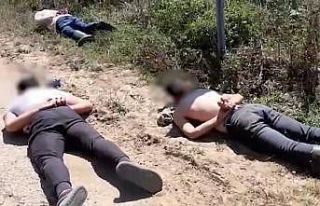 Bursa’da ormana uyuşturucu diktiler, suç üstü...