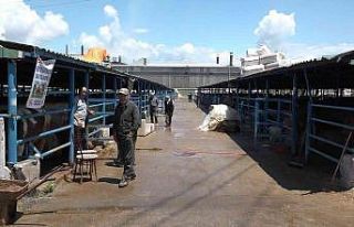 Bursa’da vatandaşlar kurbanlık alımı için son...