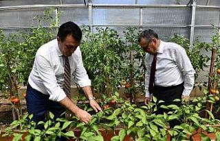 Bursa’da yerli ve milli tohum için işbirliği