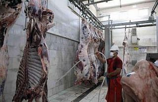 Büyükşehir mezbahalarında 31,6 milyon kilo kırmızı...