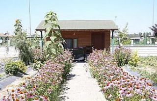 Büyükşehir’in ’Doğal Ürünler Bahçesi Pazarı’...