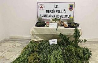 Çadıra uyuşturucu operasyonu