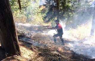 Çamlıkta çıkan büyümeden söndürüldü