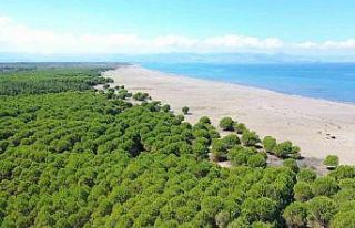 Çarşamba’ya 50 hektarlık Orman Park