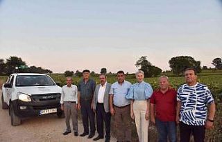 Çayır tırtılıyla mücadeleye belediyeden destek...