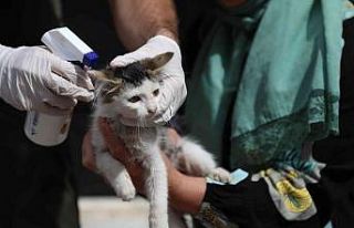 Çayırova’da "Siz Sahiplenin Biz Aşılarını...