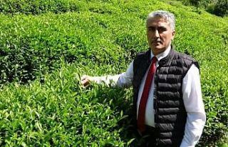 ÇAYÜDAD Ulusal Çay Konseyi’nden ayrılma kararı...