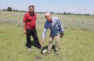 Ceyhan’daki kuyu ile aynı yıl kapatılan Kadirli’de...