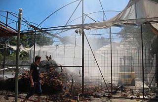 Çim üretim firmasının serasındaki yangın korkuttu