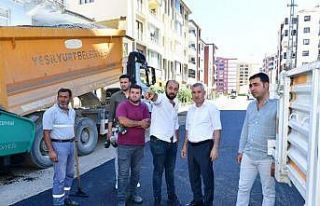 Çınar, Bostanbaşı’ndaki değişim ve dönüşüm...